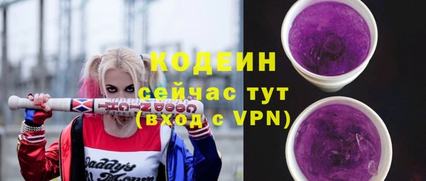 СК Сафоново