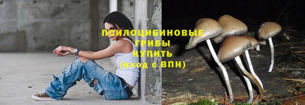 мдпв Россошь