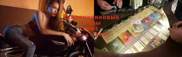мдпв Россошь