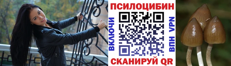 Купить  Порхов  Галлюциногенные грибы мухоморы 